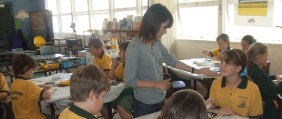 ボランティア留学の声